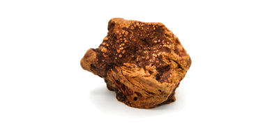 Heather Root Dog Chew