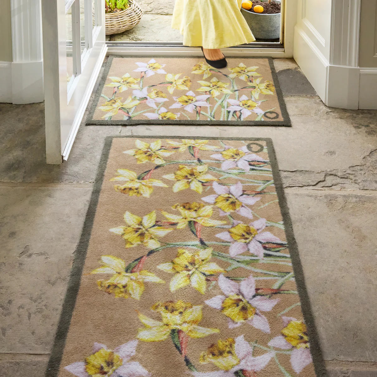 Daffodil Blooms