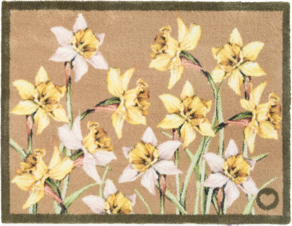 Daffodil Blooms