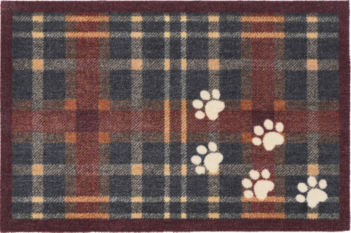 Plaid Paws