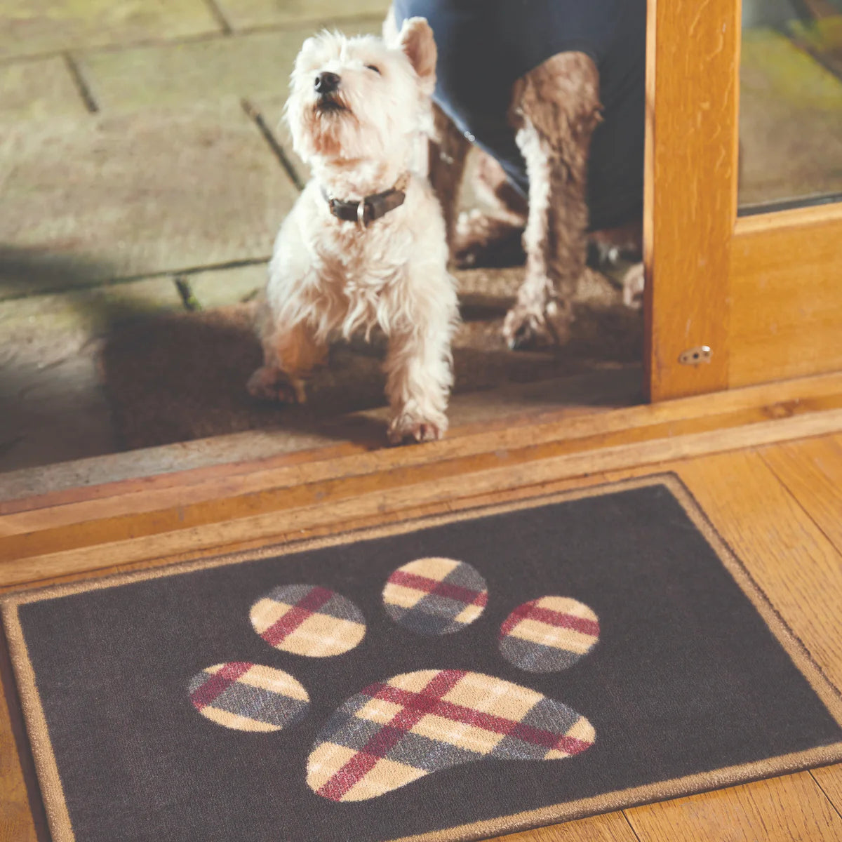 Tartan Paws