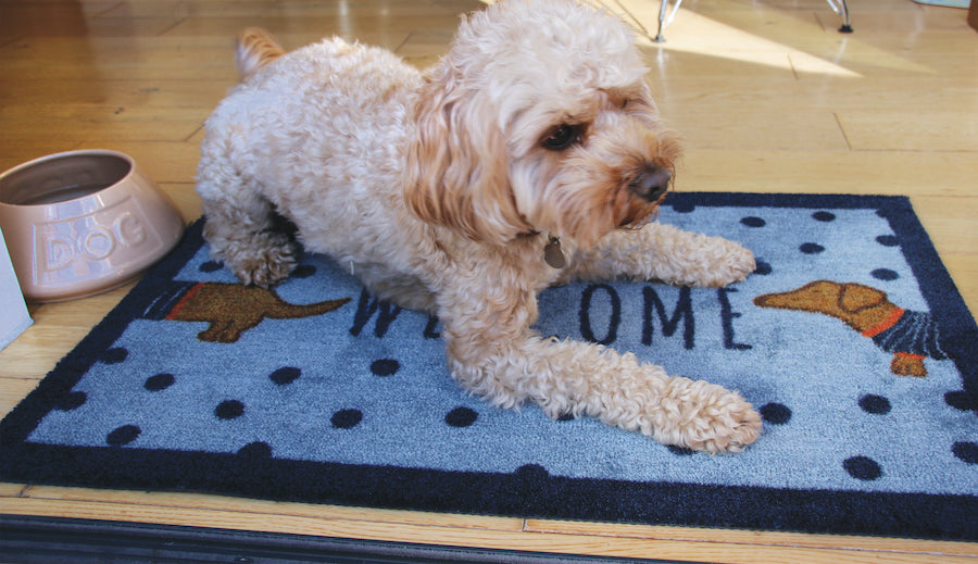 Doggie Welcome - 20" x 30"