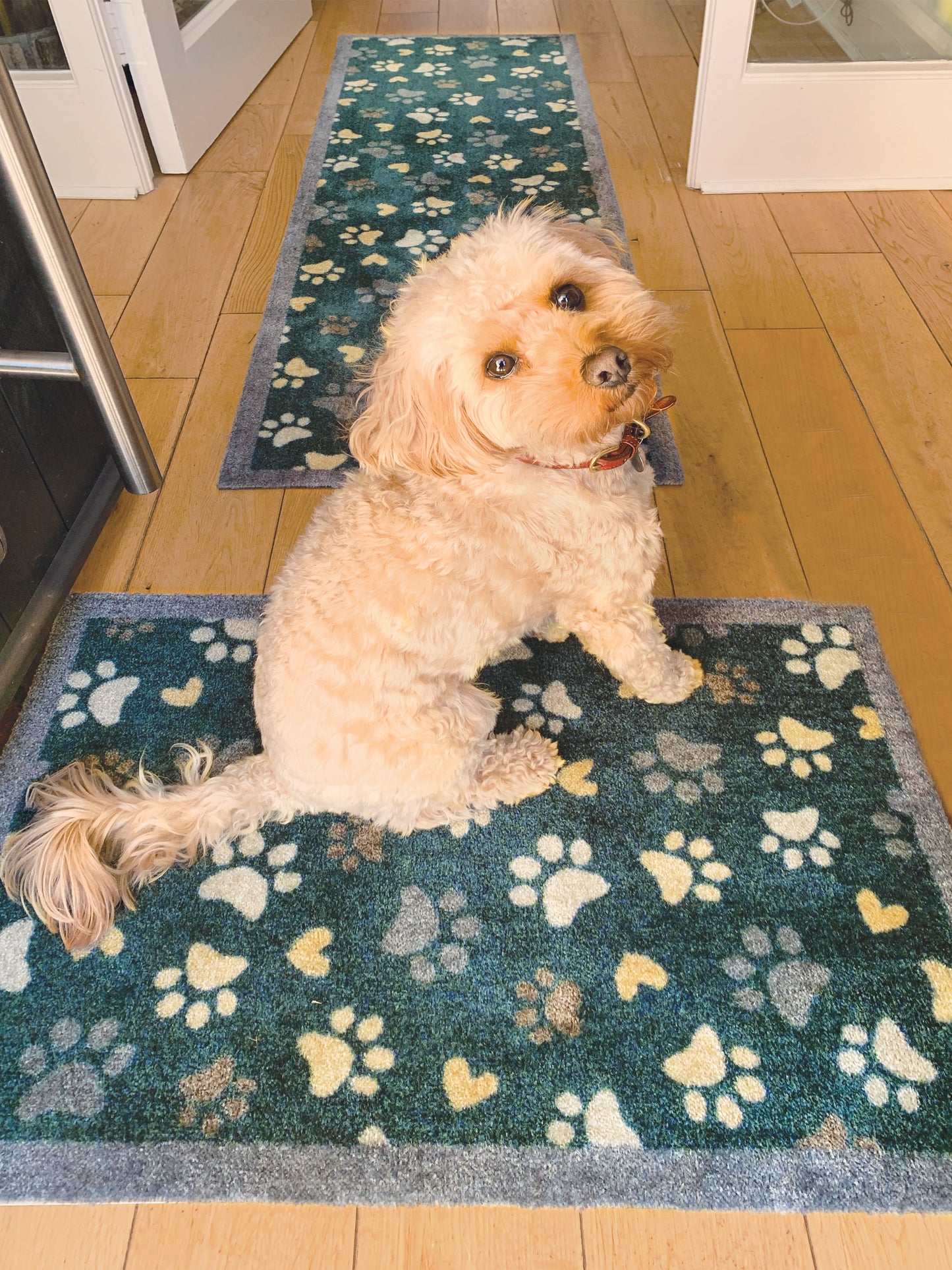 Love Paws 1 - 20" x 30"