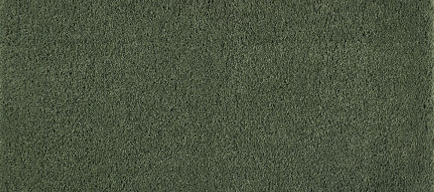 Shaggy Pet Rug - Forest Green