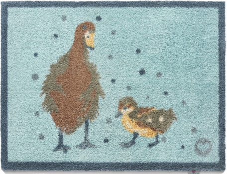 Ducks 1 - Medium