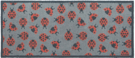 Ladybird Runner