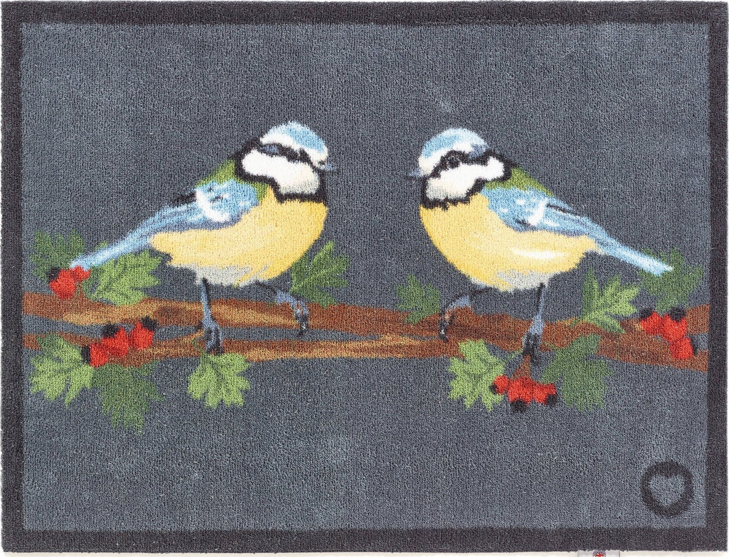 Bluetit Birds 1