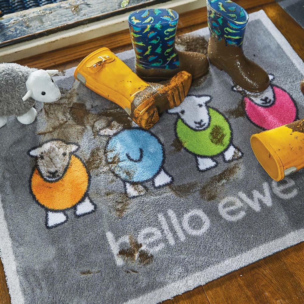 hello - ewe - herdy