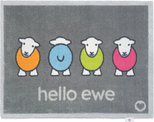hello - ewe - herdy