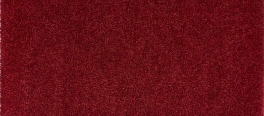 Shaggy Pet Rug - Red
