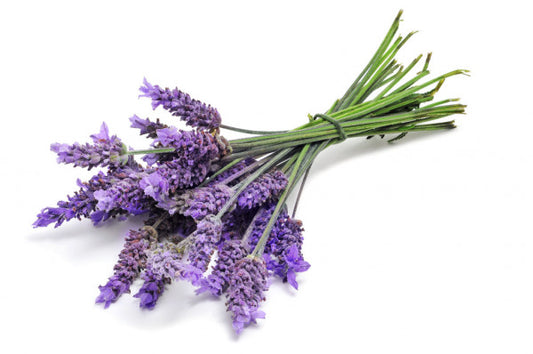 Lavender Buds for Crafting