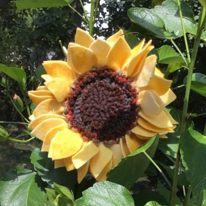 Sunflower Kit