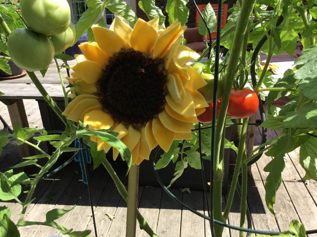 Sunflower Kit